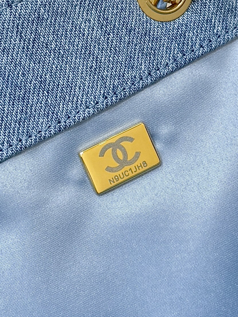 Chanel 25 Medium Hobo,