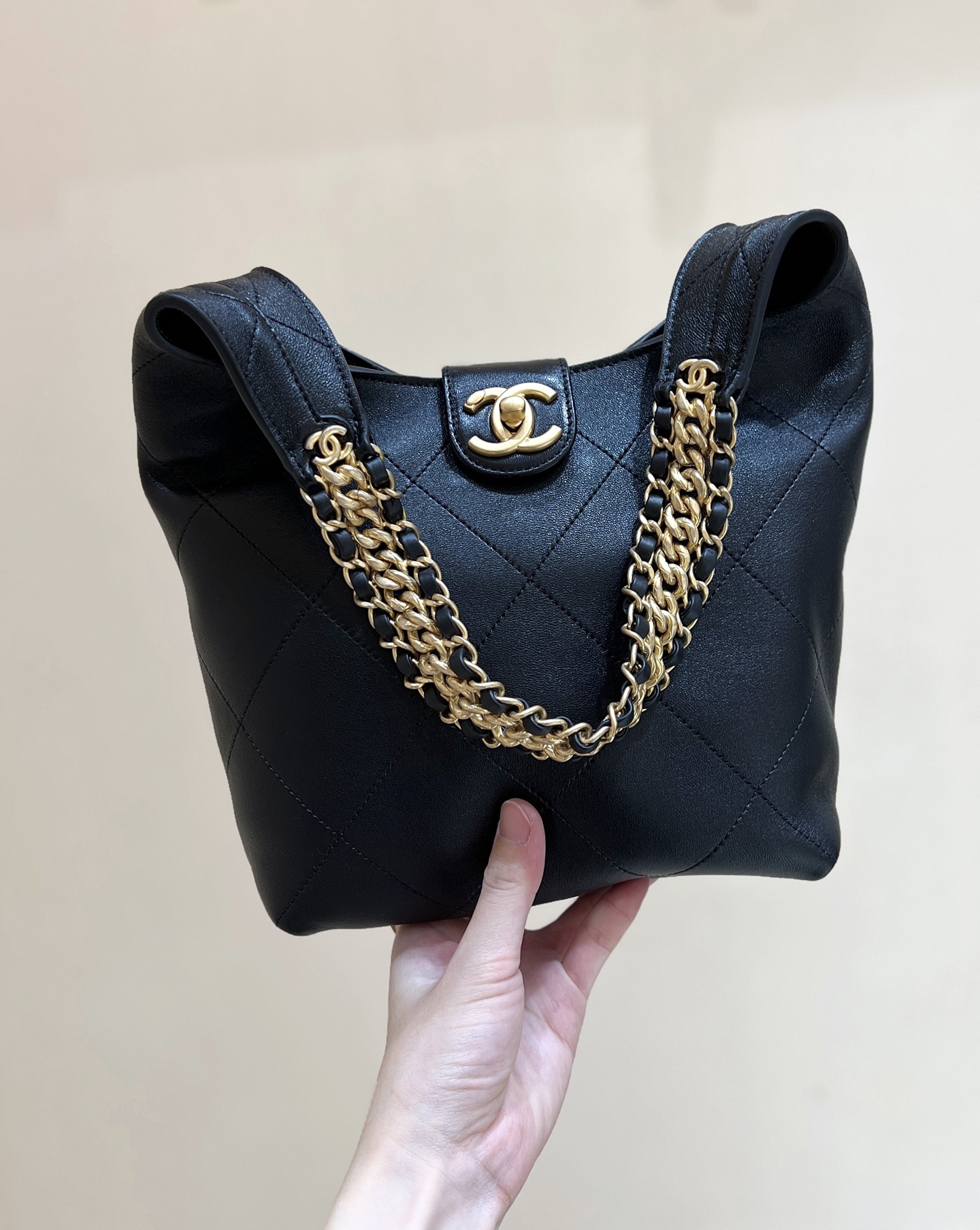 25P Hobo Handbag
